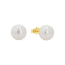 AMOR Ohrring (Ohrstecker) Damen, 375 Gold, Hauptbild