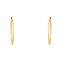 AMOR Ohrring (Creolen) Damen, 375 Gold, Ansicht 3