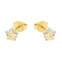 AMOR Ohrring (Ohrstecker) Damen, 375 Gold, Motiv Stern, Zirkonia weiß, Ansicht 4