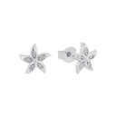 AMOR Ohrring (Ohrstecker) Damen, 925 Silber rhodiniert, Motiv Seestern, Zirkonia weiß, Hauptbild