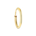 AMOR Ohrring (Creolen) Unisex, 375 Gold, Hauptbild