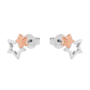 AMOR Ohrring (Ohrstecker) Damen, 925 Silber silber / rosévergoldet (bicolor), Motiv Stern, Ansicht 4