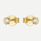 Ohrring (Ohrstecker) Women