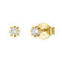 AMOR women's stud earrings, 375 gold, main image