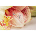 AMOR Ohrring (Ohrstecker) Damen, 925 Silber rhodiniert, Motiv Kolibri, Ansicht 6