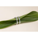 AMOR Ohrring (Creolen) Damen, 925 Silber rhodiniert, Motiv Feder, Ansicht 6
