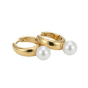 AMOR women's hoop earrings, stainless steel with gold IP plating, view 4