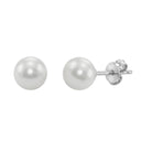 AMOR women's stud earrings, rhodium-plated 925 sterling silver, main image
