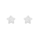 AMOR Ohrring (Ohrstecker) Damen, 925 Silber rhodiniert, Ansicht 3