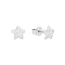AMOR Ohrring (Ohrstecker) Damen, 925 Silber rhodiniert, Hauptbild