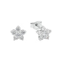 AMOR Ohrring (Ohrstecker) Damen, 925 Silber rhodiniert, Motiv Stern, Zirkonia weiß, Hauptbild