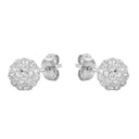 AMOR Ohrring (Ohrstecker) Damen, 925 Silber rhodiniert, Kristallglas weiß, Ansicht 5