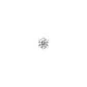 AMOR Piercing (Stecker) Damen, 925 Silber rhodiniert, Zirkonia weiß, Hauptbild